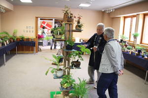 anderusenkouen 027.jpg